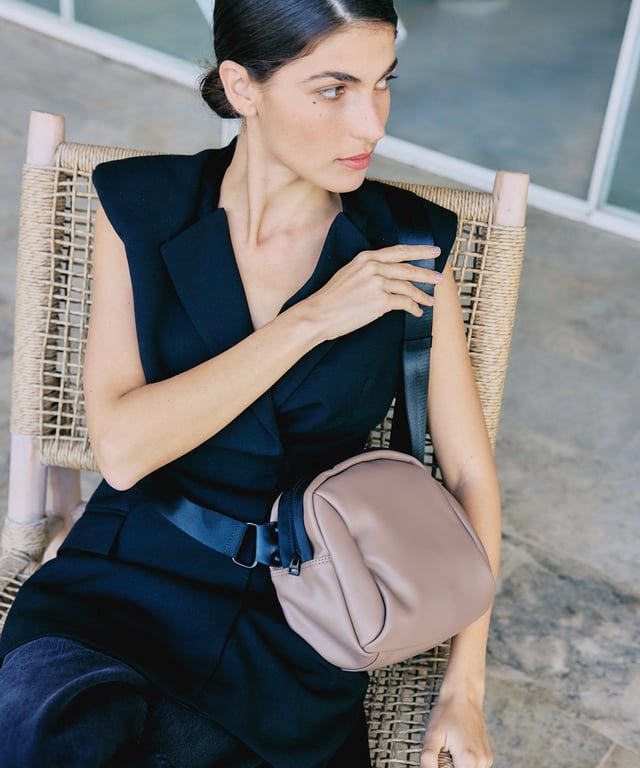 תיק אביבים ויגן